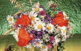 	 Bouquet of camomiles and other flowers