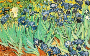 Painting of Vincent Van Gogh - Irises