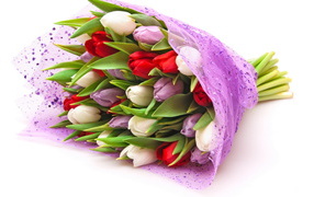 Tulips for girls on March 8