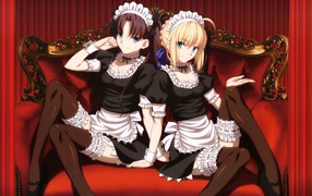 Two girls maids in anime