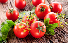 Red tomatoes on a wooden table with dill