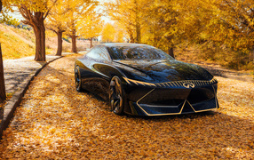 Black Infiniti Vision Qe car in autumn park
