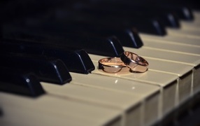 Два золотых обручальных кольца на клавишах пианино 