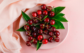 Белая тарелка с красными ягодами черешни на розовом фоне