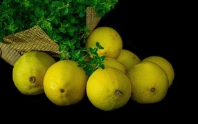Желтые лимоны на черном столе с зеленью