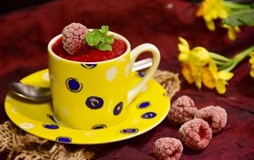 Raspberry sorbet in a yellow cup