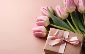Beautiful tulips with a gift on a pink background