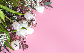 Bouquet of spring flowers on a pink background