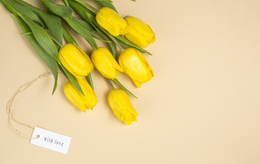 Bouquet of yellow tulips on a beige background, template