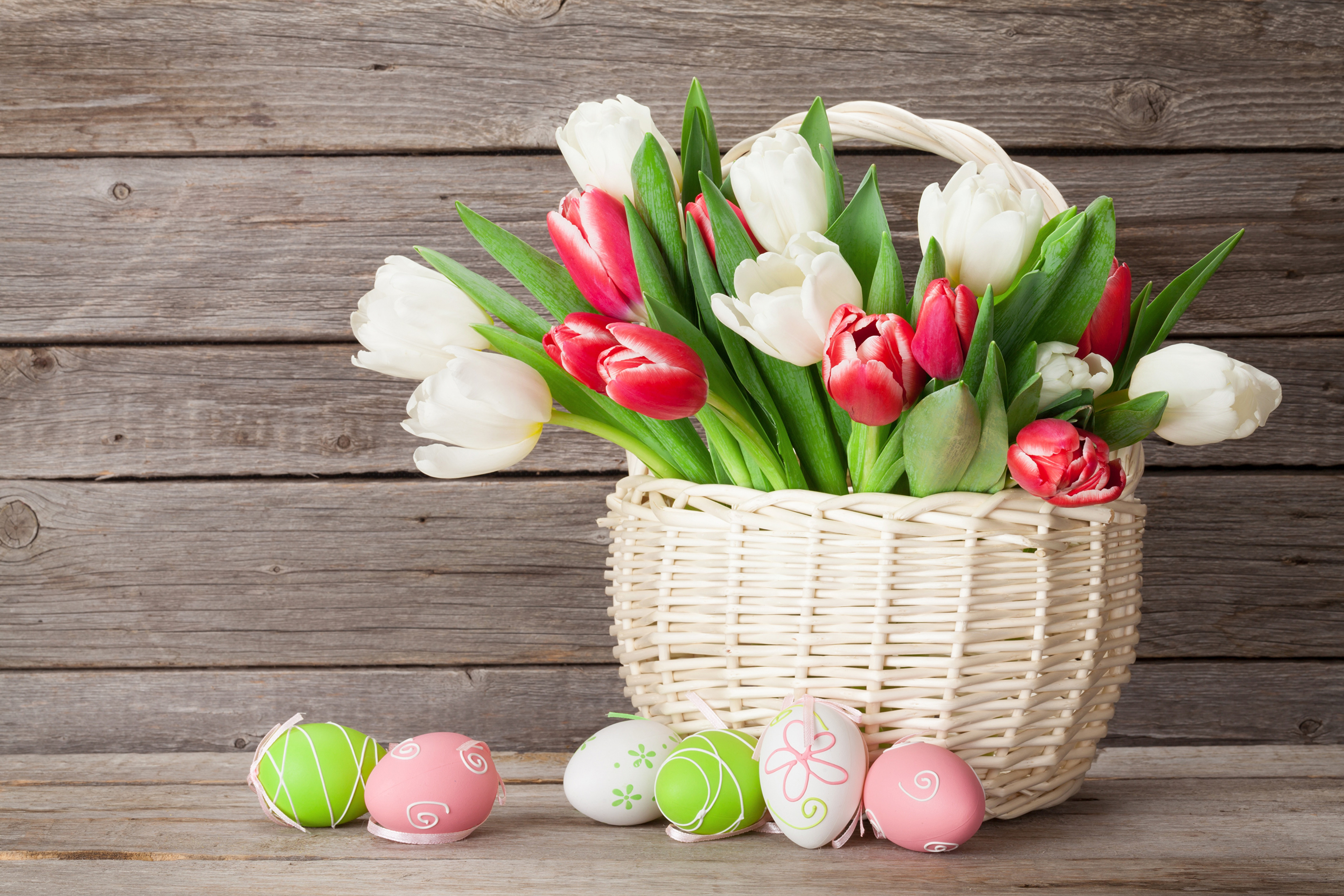 White and red tulips in a basket on a table with colorful eggs for Easter