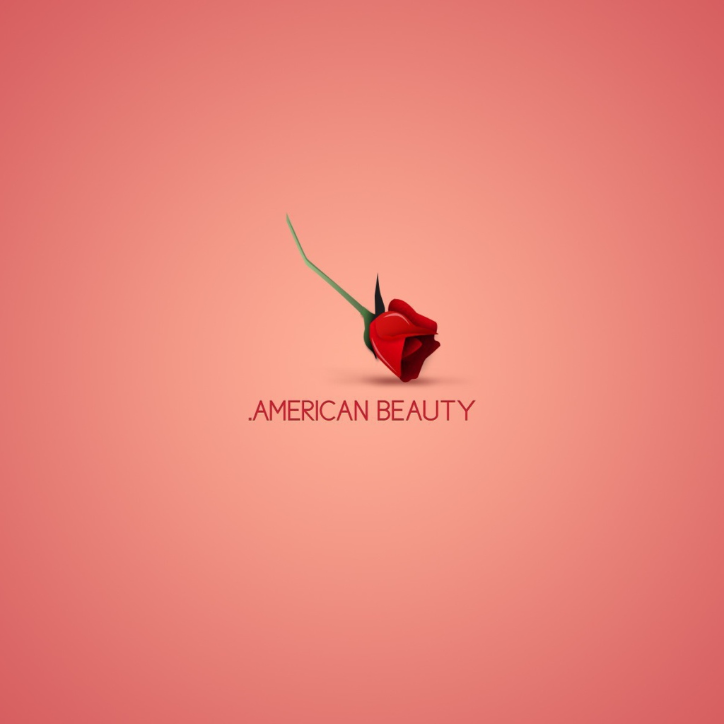 The poster of the film American Beauty
