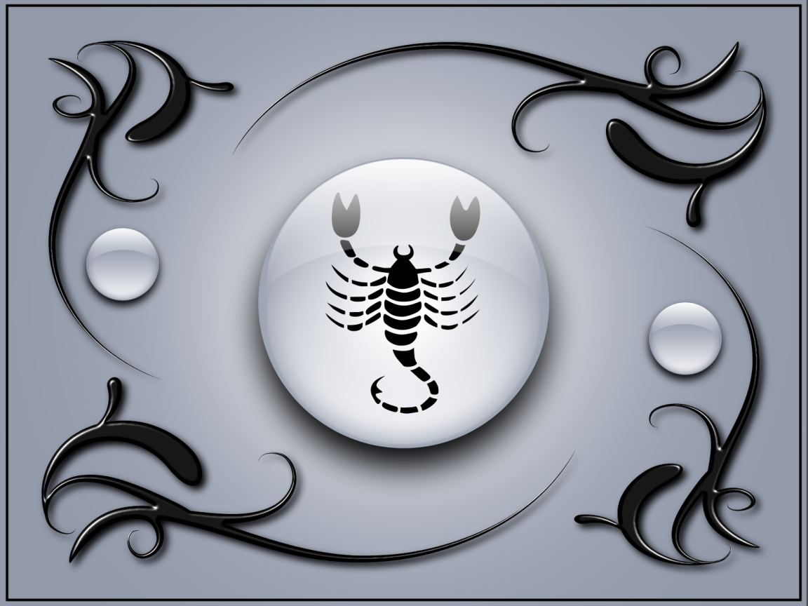 Scorpio on a gray background with black ornaments