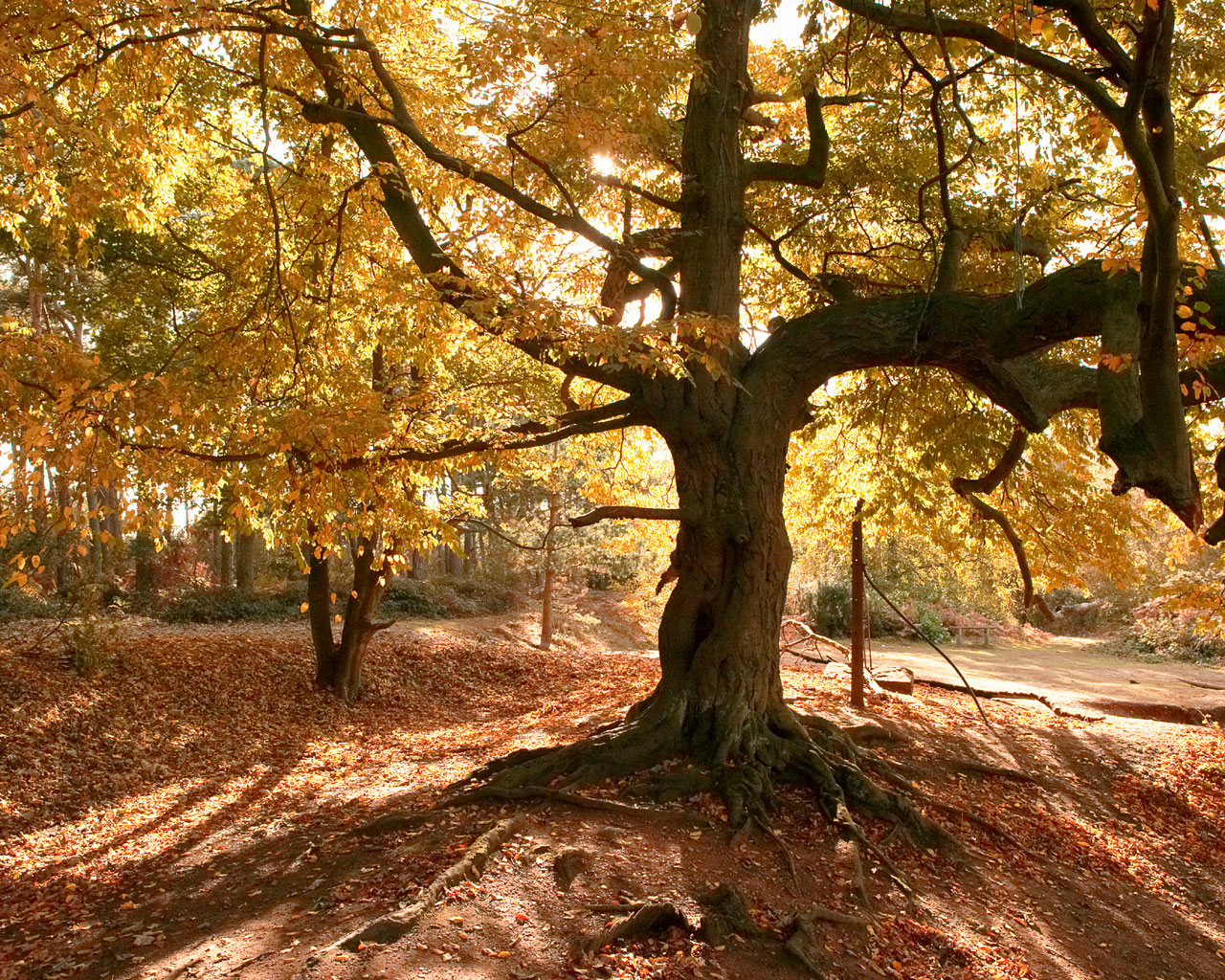 Nature And Seasons