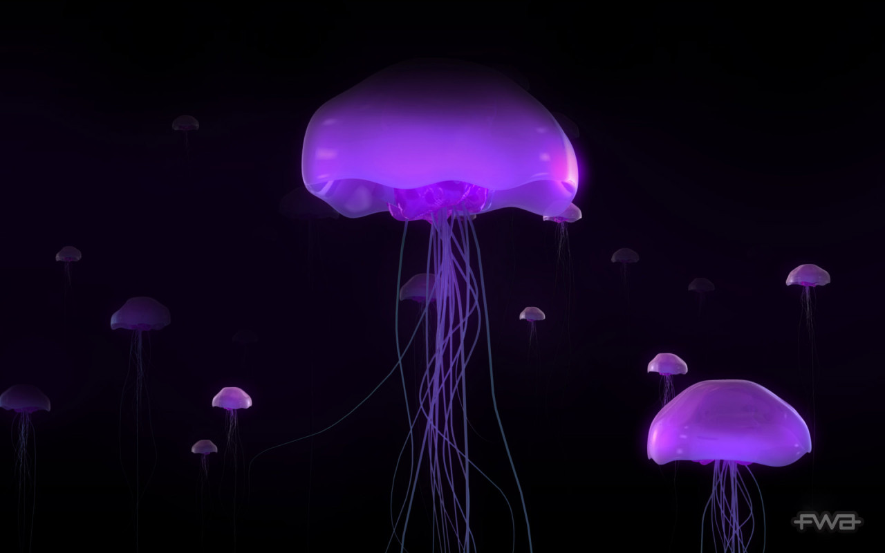 3D-graphics_Jellyfish_017425_.jpg