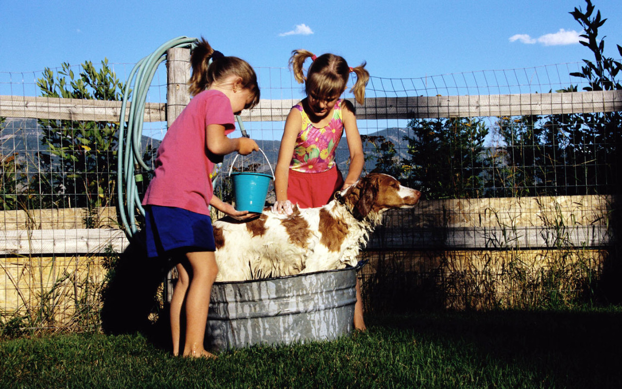 http://www.zastavki.com/pictures/1280x800/2009/People_Children_Children_with_a_dog___Children_012783_.jpg