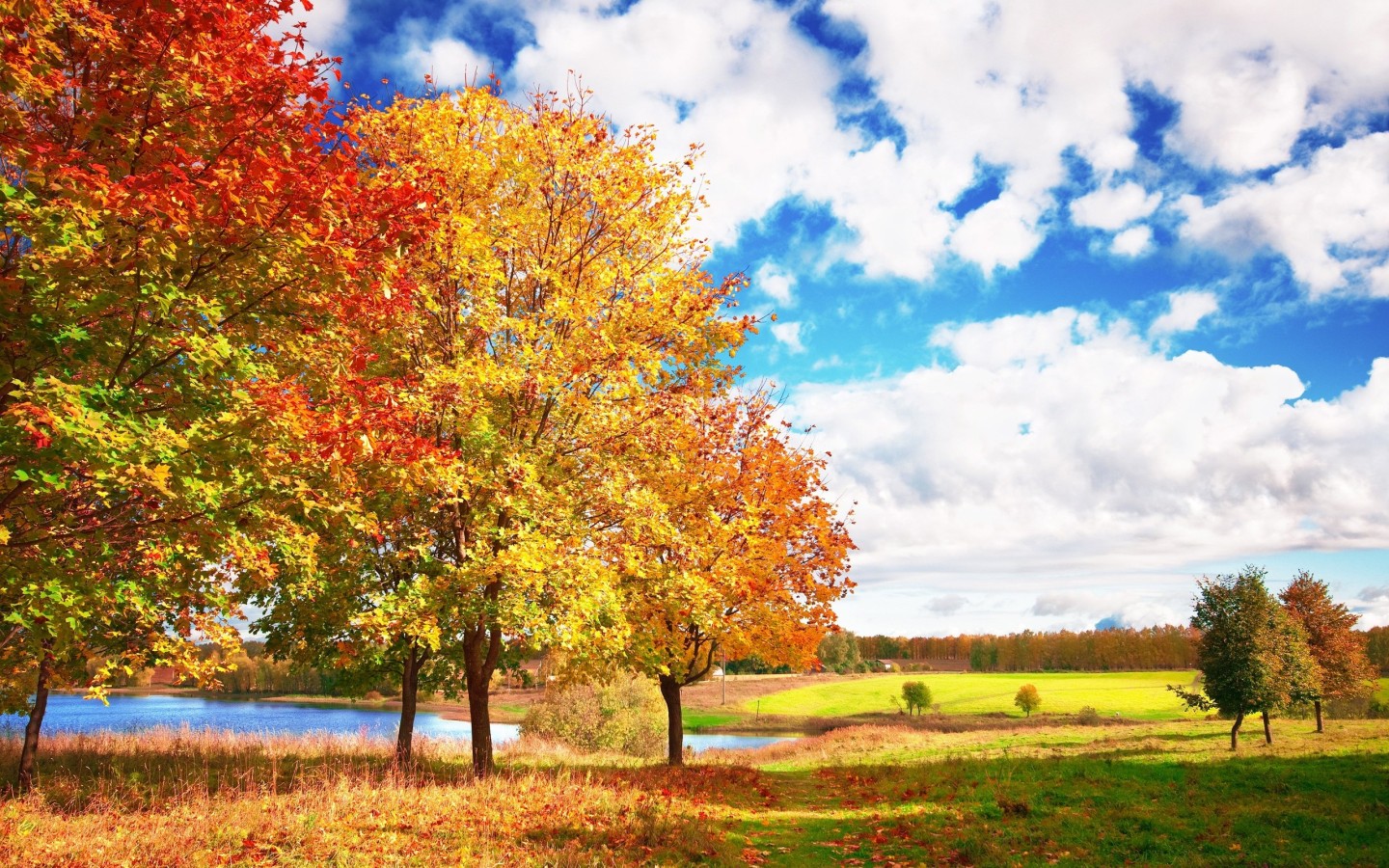 Autumn Landscape Desktop wallpapers 1440x900