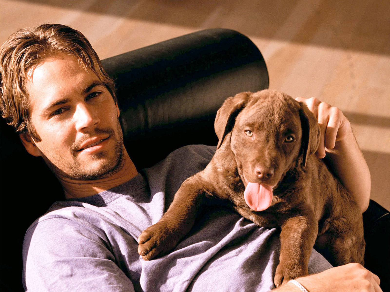 http://www.zastavki.com/pictures/1600x1200/2013/Men___Male_Celebrity_Paul_Walker_actor_of_The_movie_fast_and_The_furious_and_his_dog_050777_2.jpg