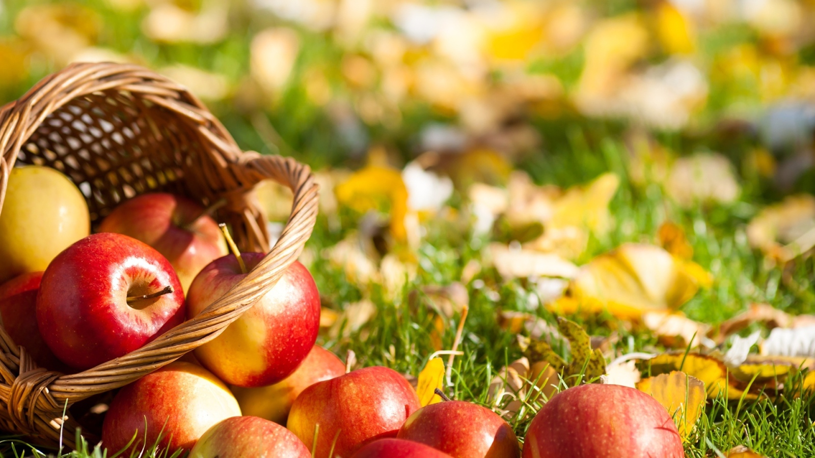 Food___Berries_and_fruits_and_nuts_Red_Apples_035013_25.jpg