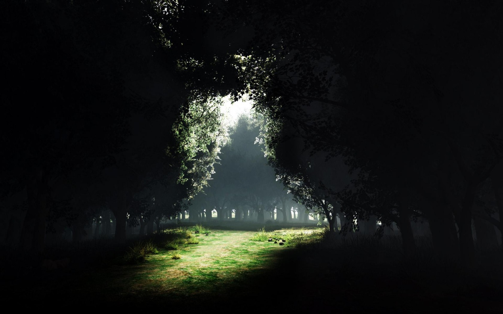 Nature_Forest_Darkness_to_Light_008484_.jpg