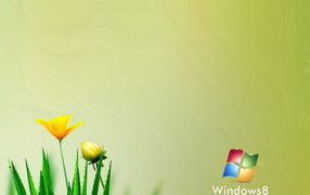 Windows 8 алоэ