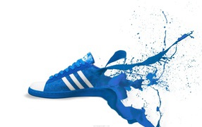 Adidas blue shoes