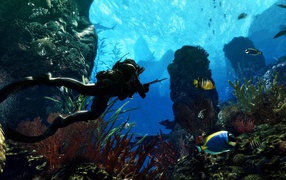 Underwater hunting
