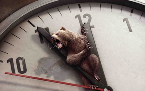 Bear on the clock