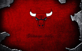 	   Bull on a red background