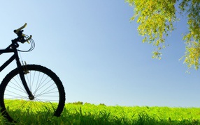 Bicycling in the field