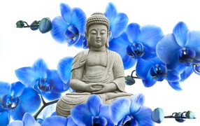 Будда на фоне цветов