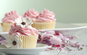 Delicate pink cupcake