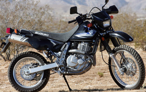Popular bike Suzuki DR 650 SE 