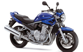 Popular motorcycle Suzuki GSF 650 