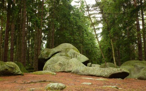 Камни на краю леса