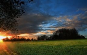 Закат на зеленом поле