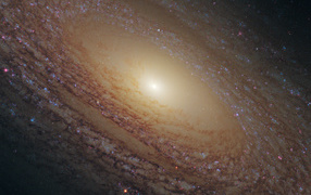 	   Spiral galaxy