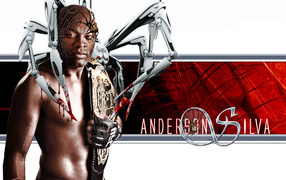 UFC fighter known Anderson Silva. spider 