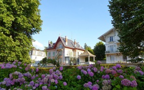 Flowers in the resort of Evian, France