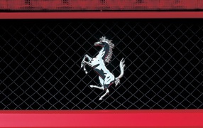 Знак Ferrari на радиаторной решетке