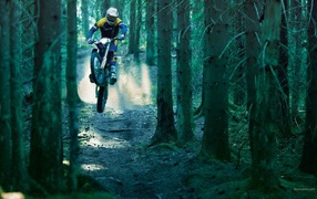 Rider on a motorbike in the woods