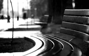 Curved bench in the rain