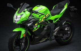 Новый мотоцикл Kawasaki Ninja 125, 2019 года