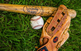 Baseball bat, glove and ball lie on the green grass.