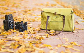 Camera and bag stand on dry leaves in autumn