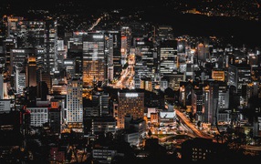 Вид на ночной мегаполис, Корея 