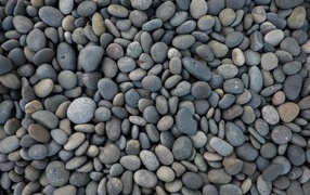 Small gray sea stones