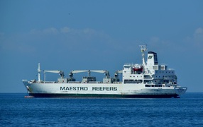 Large freighter Maestro Reefers