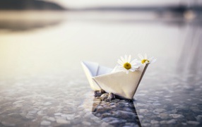 Paper boat in water with daisies