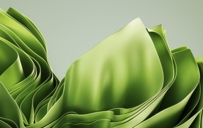 Зеленые абстрактные листья на сером фоне