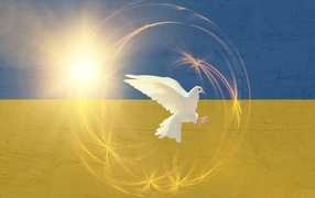 Белый голубь на фоне флага Украины